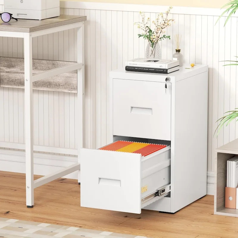 2 Drawer Vertical File Cabinet with Lock for Home Office